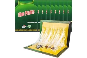 CLVSYH 10 Pezzi Trappoper Scarafaggi, 31,5 Cm X 21 Cm Trappole Appiccicose, Trappola Per Parassiti, Trappola Appiccicosa Per Grilli, Appiccicosa E Facile Da Usare, Per Parassiti, Contro Gli Scarafaggi