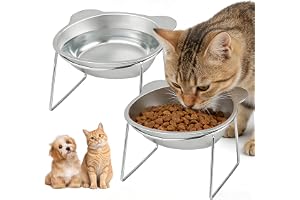 2 stycken upphöjd, lutande kattskålar, rostfritt stål, upphöjd matskål för husdjur, bärbar hundskål för inomhusbruk, lutande