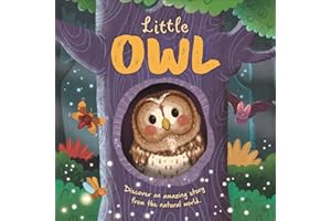 Little Owl (An illustrated story about the life-cycle of an owl)