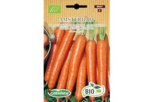 Germisem Orgánica Amsterdam Semillas de Zanahoria 4 g