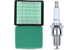 AUMEL Kit de filtre à air avec bougie d'allumage pour moteur Honda GCV160 GC160 GCV190 GC190 GCV135