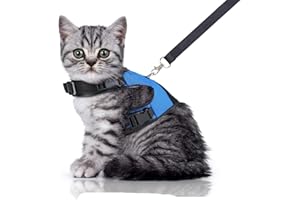 Bella & Balu Katzengeschirr inkl. Leine – ausbruchssicheres und Robustes Brustgeschirr mit weichem Innenfutter und atmungsaktivem Mesh – Für den sorgenfreien Gassigang (S, Blau)