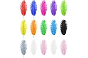 Be In Your Mind 15 Piezas Plumas de Avestruz Naturales Plumas de Colores Mezclados 25-30 Cm para Manualidades Diseño Artístico Atrapasueños Inodoros No Tóxicos Bodas Fiestas Decoración del Hogar