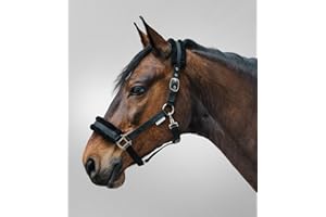 WALDHAUSEN Halfter First, WB, schwarz