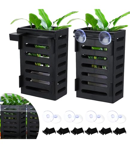 8 Supports Muraux Transparents Pour Plantes D'aquarium | Pots Hydroponiques Suspendus Avec Crochets | Taille 9x8x8 Cm | Optimisation D'espace
