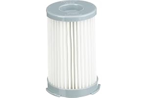 Menalux F120 - Filtro para aspiradores AEG Bubble, AEG ErgoEasy, AEG Minion, Electrolux Energica y Electrolux UltraEnergica