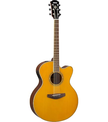 Epiphone PR-5E Acoustic-Electric Guitar, Shadow Preamp, Natural