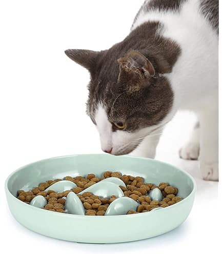Ciotola Slow Feeder Per Gatti - Anti Ingozzamento E Vomito, Design A Banana, In Melamina