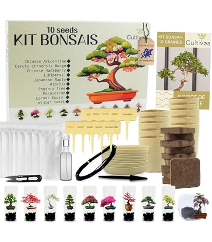 Zchte dein eigenes Rainbow Chili Bonsai | Regenbogen Chili Bonsai  Anzuchtset |Rainbow Chili Bonsai - Growing Kit | Geschenk set |  Wachstumsgarantie : Amazon.de: Garten