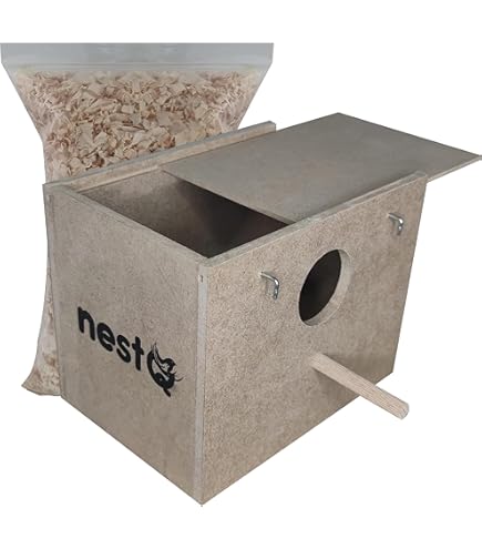 Nido Per Pappagalli In Legno Con Finestra Acrilica - 2 Misure Per Cocorite, Calopsite E Parrocchetti - Foto 6