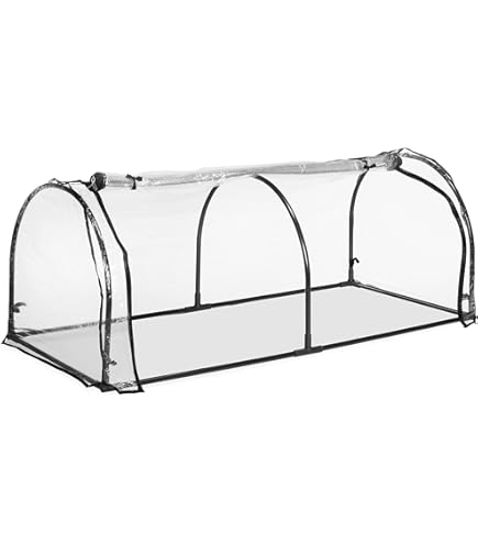 Dynamic24 Kweekbed, deksel, bloembed, kweekbak, mini-broeikas, kamer
