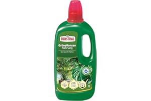 Substral Grünpflanzen Nahrung, 1 L - Flüssigdünger für Zimmerpflanzen, schnell wirkender Nährstoffbooster mit Humifirst-Technologie