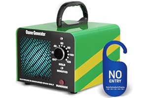 FWIULL Generatore di ozono 65000mg/h, O3 Ozonizzatore per Veicoli, Generatore ozono con Timer 120 Minuti per Ambienti fino a 300㎡,Perfetto per case, uffici, hotel, ristoranti, veicoli e altro ancora