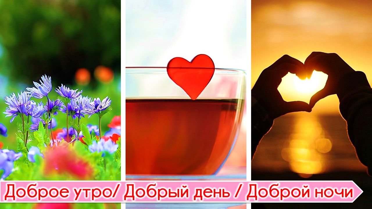 Russian Good Morning Afternoon Night Greeting Cards Amazon In