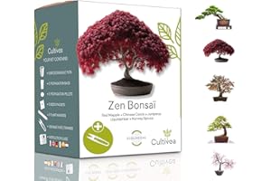 CULTIVEA® Mini Kit Prêt à Pousser Bonsaï – Graines Françaises 100% Écologiques - Jardinez et décorez - Idée Cadeau (Red Mapple, Chinese Cercis, Juniperus, Liquidambar, Norway Spruce) - Made in France