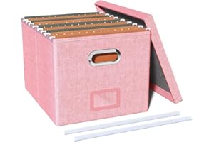 Okydoky Caja de almacenamiento con tapa y asa, caja de almacenamiento plegable de tela, caja de documentos/organizador de archivos, forma de cubo, adecuada para el hogar y la oficina (FG-PK, 1pc).DE