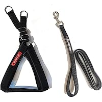 Tame Love™ Padded Dog Harness and Padded Leash Belt for Small Breeds (Black Color - 0.75 Inch)