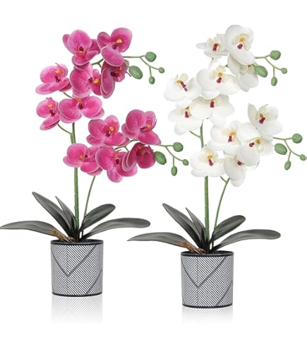Dremisland 3PCS Artificial Orchid Flower Bonsai 38cm Faux