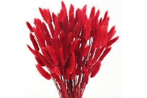 SCLLNDA 120 Stück Pampasgras Rot Trockenblumen Deko Getrocknete Blumen Getrocknet Pampasgras Deko Pampas Gras Schilfgras Pampasgras Blumenstrauß Flauschig für Wohnzimmer Deko Hochzeit Tischdeko