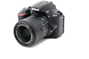 Nikon D5600 + AF-P 18-55 VR Kit de Reflex numérique 24,2 Mpix Noir