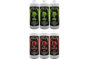 A. BECKER'S A. Becker´s Slush Eis Sirup | Ohne Azofarbstoffe | 2x 3L Kirsche und Waldmeister | Vegan | 1L Slush Konzentrat ergibt 6L Eis | Getränkesirup für Zubereitung in Slush Maschine und Mixer