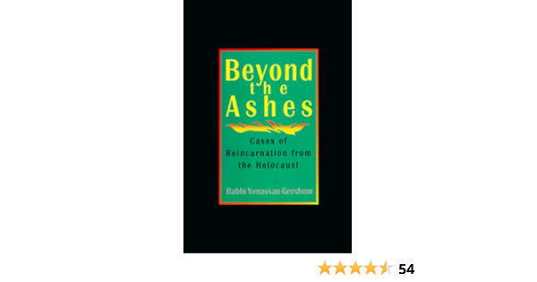Beyond The Ashes Cases Of Reincarnation From The Holocaust Amazon De Jon Robertson Yonassan Gershom Fremdsprachige Bucher