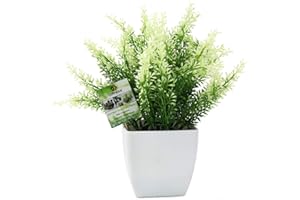 OFFIDIX Fake Plant Plastic Green Plant with Square Vase, Home Faux Plastic Plants for Home,Garden,Office,Wedding and Indoor Outdoor Decoration