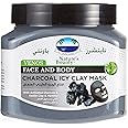 Nature's Bounty Charcoal Icy Clay Face Mask, 600 ml