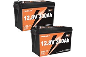 YEAGULCH 2 Unità Batteria Litio LiFePO4 12V 300Ah, 3840Wh, 4000-15000 Cicli, con BMS 200A, Batterie Lithium per Sistemi Solari Camper Accumulo Domestico e Applicazioni Off-Grid