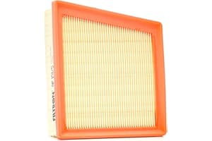 Filtron Filtro dell'aria, AP151/5