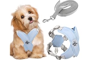 AYSYR Uprząż dla psa (S, niebieska), uprząż dla szczeniaków, oddychająca, uprząż dla małych psów, regulowana, uprząż dla małych psów, odblaskowa, oddychająca kamizelka dla psa ze smyczą z amortyzacją