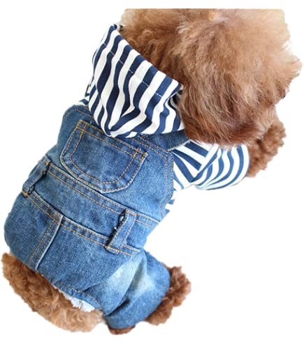 Coole Jeansjacke Für Hunde – Denim-Mantel Mit Knopfverschluss Für Kleine & Mittlere Rassen