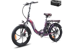 Fafrees F20 PRO Electric Bicycle, 20inch Women Men Folding Electric Bike, 250W Electric Mountain Bike, 36V/18A Removable Battery, Range 70-130KM