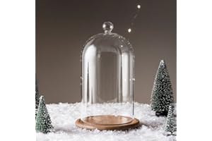 Lights4fun Deko Glasglocke mit Holzboden 20,5cm Glashaube Glasglocke Glas Vitrine Holz Boho Deko Hochzeit Käseglocke Glas