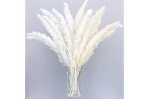 HILEYU 30 piezas de pampas secas naturales blancas artificiales 40 cm Boho decoración del hogar fragmitas naturales flores secas para jarrones ramo blanco flores boda fiesta decoración