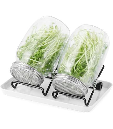 LTHERMELK Keimglas-Set 1000 Ml – Sprossenglas Mit Edelstahl-Sieb & Halterung | Für Frische Sprossen, Brunnenkresse & Microgreens