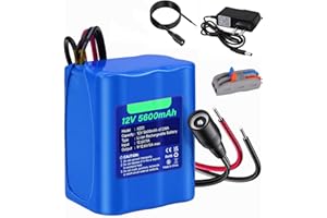 CITYORK 12V 5600mAh Batteria agli ioni di litio ricaricabile per telecamere CCTV, videocamere, lettori MP3, strisce LED e altro ancora