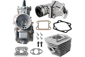 CPVNQMDG Dio reed valve & cylinder Kit For 48cc 66cc 80cc Gas Motorized Bike