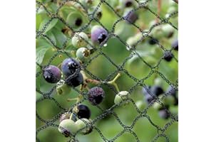 Tech-Garden - 4 m x 5 m - Anti Bird Netting Heavy Duty for Large Ponds Fruit Trees Crop Plants Vegetables & Bushes. Strong, Black Professional Grade Bird Proof Deterrent Prevention Mesh