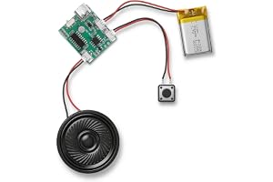 Ljudmodul MP3 musikmodul – programmerbar ljudmodul med högtalare för gör-det-själv-projekt – 8 MB minne, USB-överföring för musik och personliga presenter