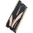SABRENT RAM SODIMM Memory 32GB DDR5 4800MHz portable Memory Kit for Laptop, Ultrabook and Mini-PC (SB-DR5S-32G)