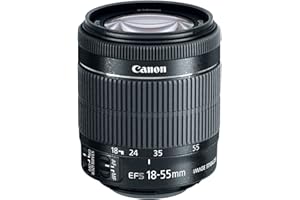 Canon EF-S 18-55mm f/3.5-5.6 IS STM Zoom Lens (Bulk Packaging)