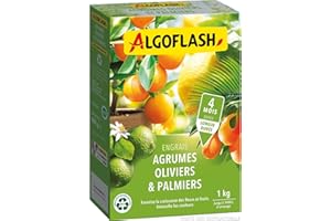 ALGOFLASH Engrais Agrumes, Olivers, Palmiers, Longue Durée, 1 kg, MED1R
