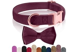 KTWSUEF Collare Cane, papillon cane Collare per Cani Velluto, Collare per Cani Comodo Resistente, Papillon per Cani Rimovibile Regolabile, Per Matrimoni, Compleanni, Eventi Festivi