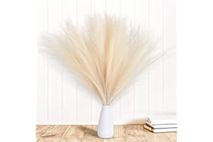 BNDITEU 6PCS Pampas Grass, Dried Pampas Grass 18" / 45cm Artificial Pampas Grass Short Pampus Grass Fluffy Pampas Grass Home Decor Gothic Home Decor foe Ruby Wedding Decoratins Girls Gifts-Cream Color