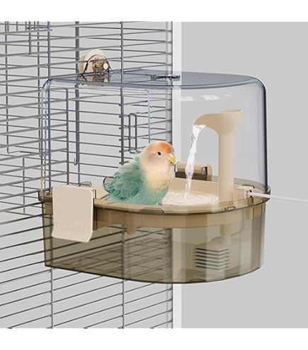 Bird Cage Bird Leash African Grey Parrot Essentials Small Comfort