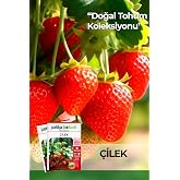 75 Adet Yerli Ata Sarmaşık &Ccedil;ilek Tohumu