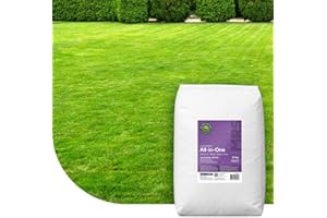 MRS SEEDS & MIXTURES All-In-One : engrais gazon anti mousse avec chaux - 20 kg : 500 m² - avec du magnésium pour un gazon vert foncé - utilisation à l'année