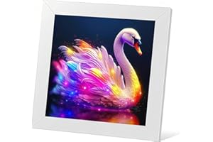 HKLIOPU Colourful Swan Diamond Painting Kit for Adults, Animal Diamond Art Kit for Home Wall Decor,30 x 30 cm
