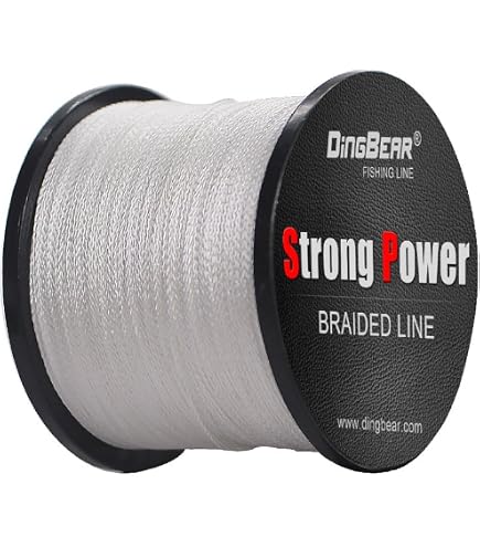 Fil De Pêche Tressé WFT Strong Trans 0.12mm / 15kg - 300m | Translucide, Haute Résistance, Pour Pêche Au Lancer